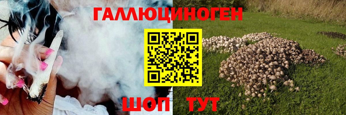 Псилоцибиновые грибы MAGIC MUSHROOMS Холмск