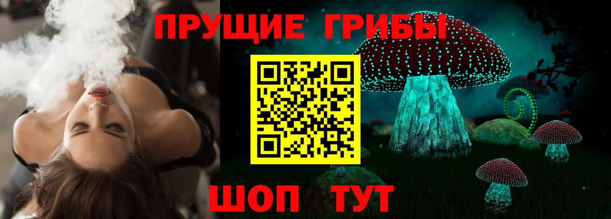 Псилоцибиновые грибы Cubensis  Вход с VPN  Холмск 